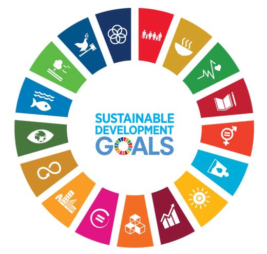 SDG Logo
